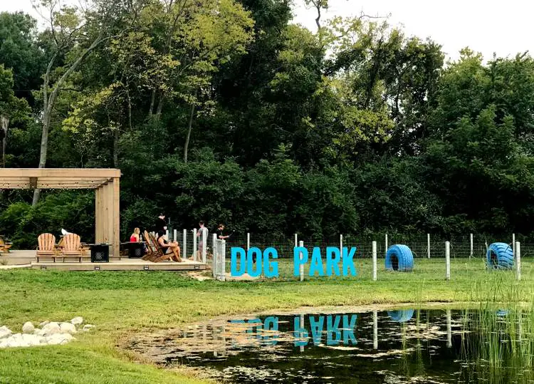 DogTap beer garden and pond