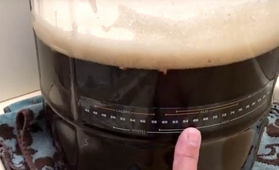 ale fermenting in a glass fermenter showing temperatures for ales vs lagers