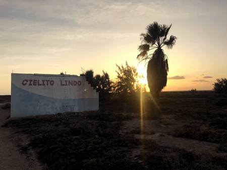 Cielito Lindo sign with a palm tree in Baja California Mexico