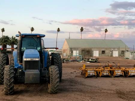 tractor and palm trees in yuma arizona