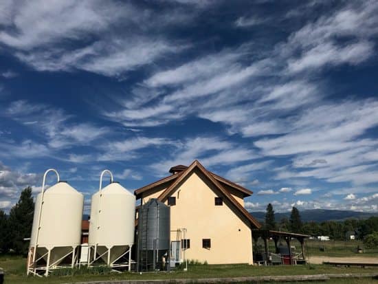 Wildwood Brewing Montana