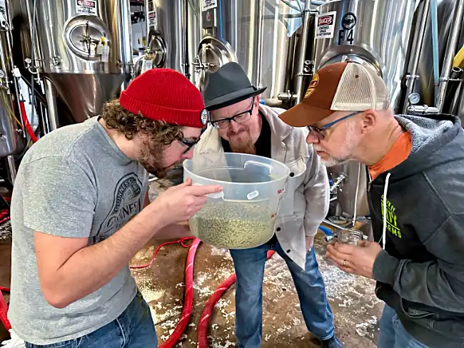 Smelling-hops-at-Our-Mutual-Friend-and-Elevation-collab-brew-day