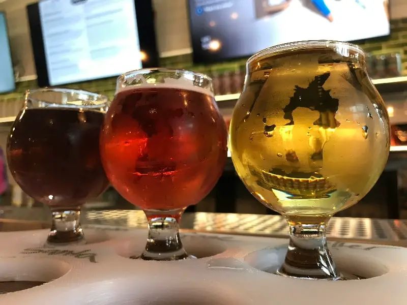 flight of gluten free beers Holidaily Brewing Colorado
